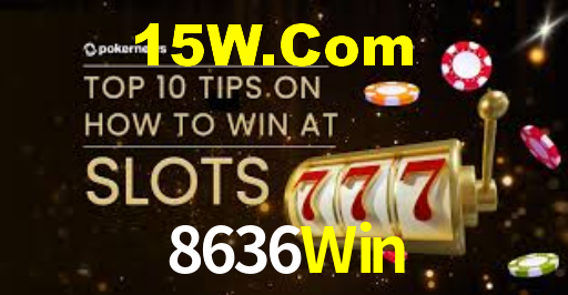 8636Win